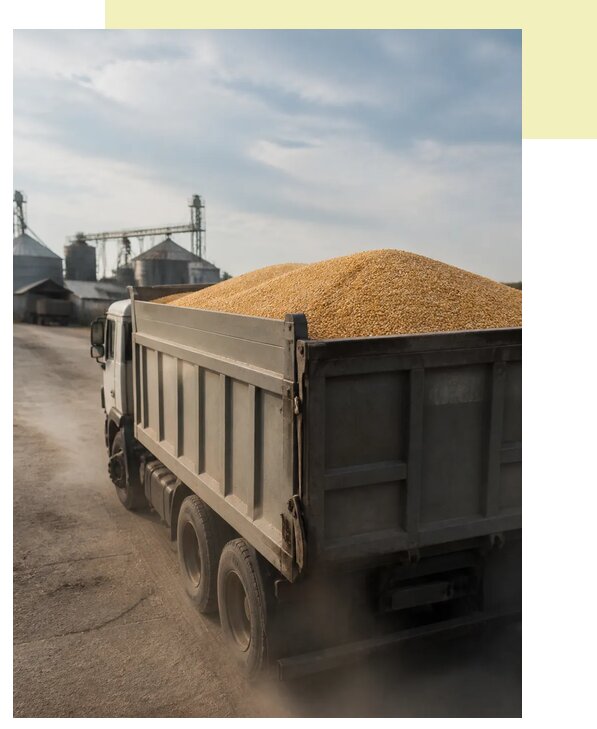 Перевозка сельхозпродукции навалом в Борисоглебск по цене от 3121 р. | Агросервис-Брс