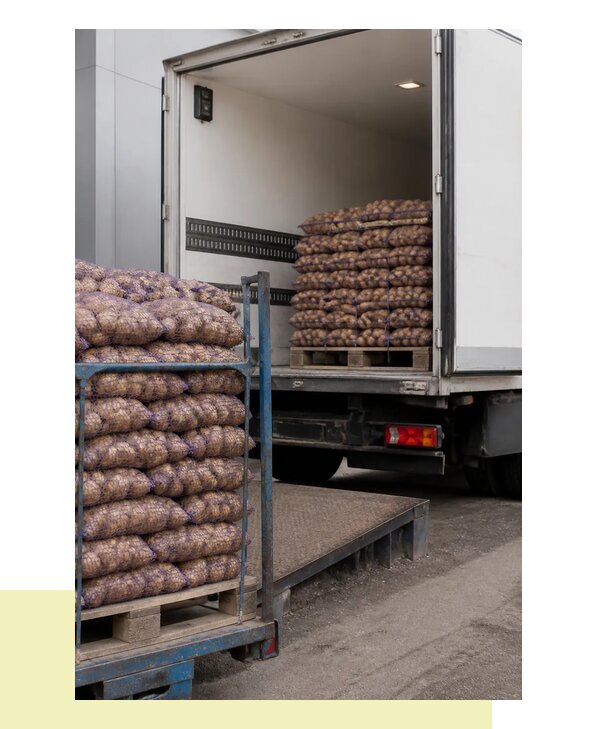 Перевозка раннего картофеля в Борисоглебск с гарантией сроков